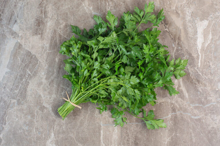 Is There a Cilantro Shortage