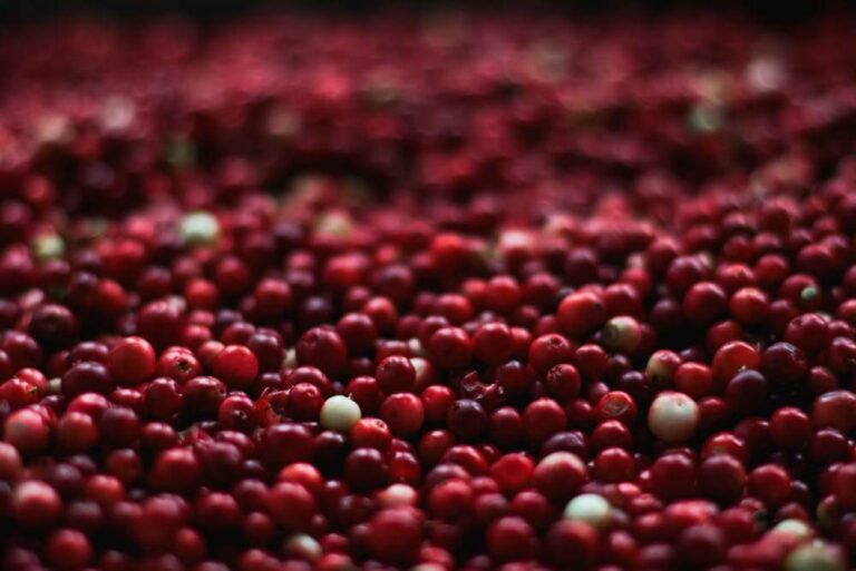 Is There a Cranberry Shortage