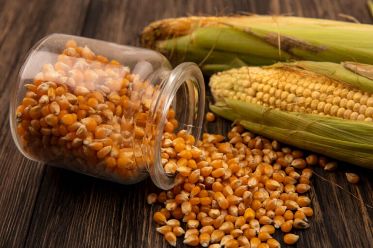 Corn Starch Shortage