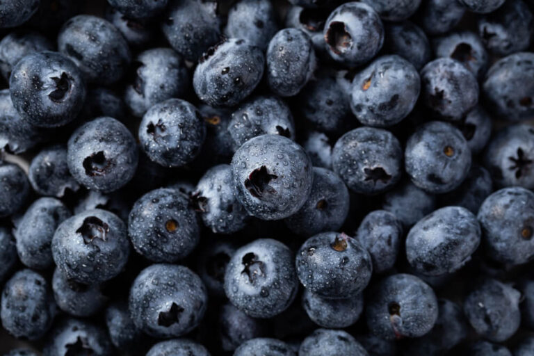 Blueberry Shortage