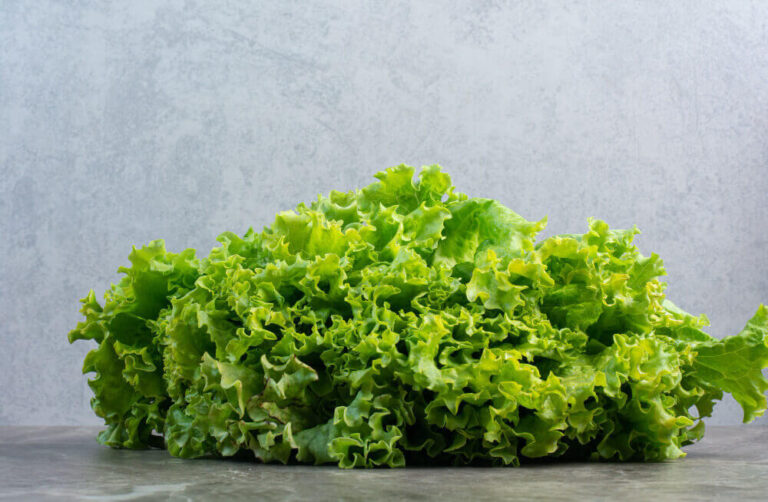 Lettuce Shortage