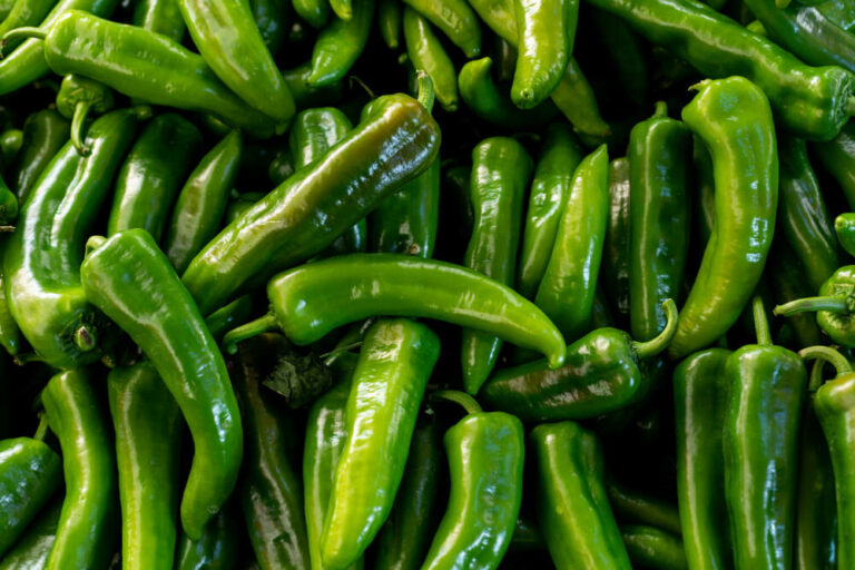 Jalapeno Shortage