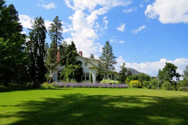 Why Your Lawn Might Be Struggling and What to Do About It